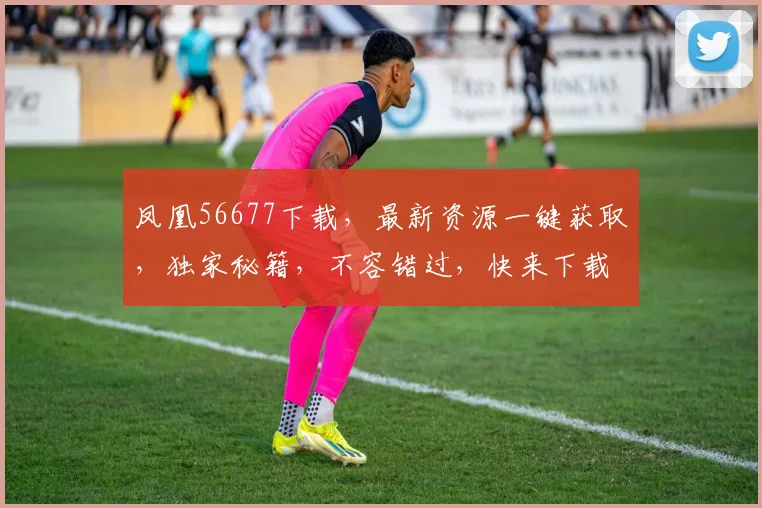 凤凰56677下载，最新资源一键获取，独家秘籍，不容错过，快来下载体验