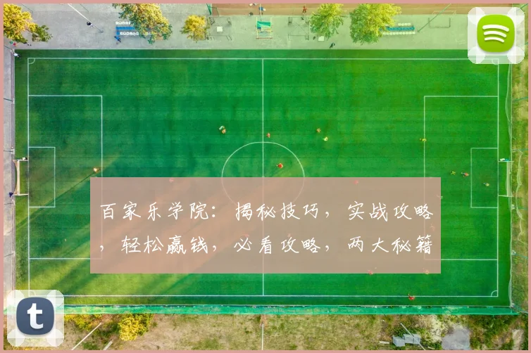 百家乐学院：揭秘技巧，实战攻略，轻松赢钱，必看攻略，两大秘籍大公开